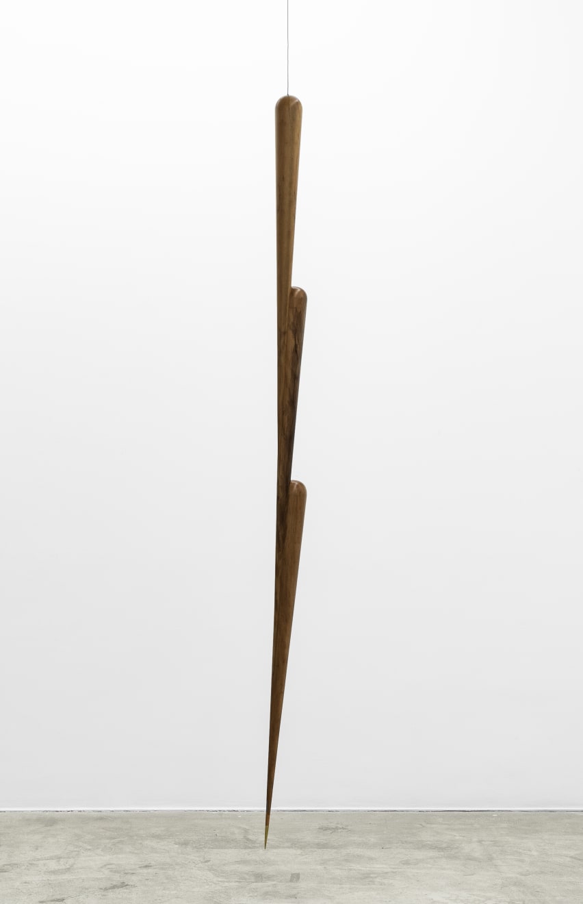 Artur Lescher, Leo # 2 , 2018
