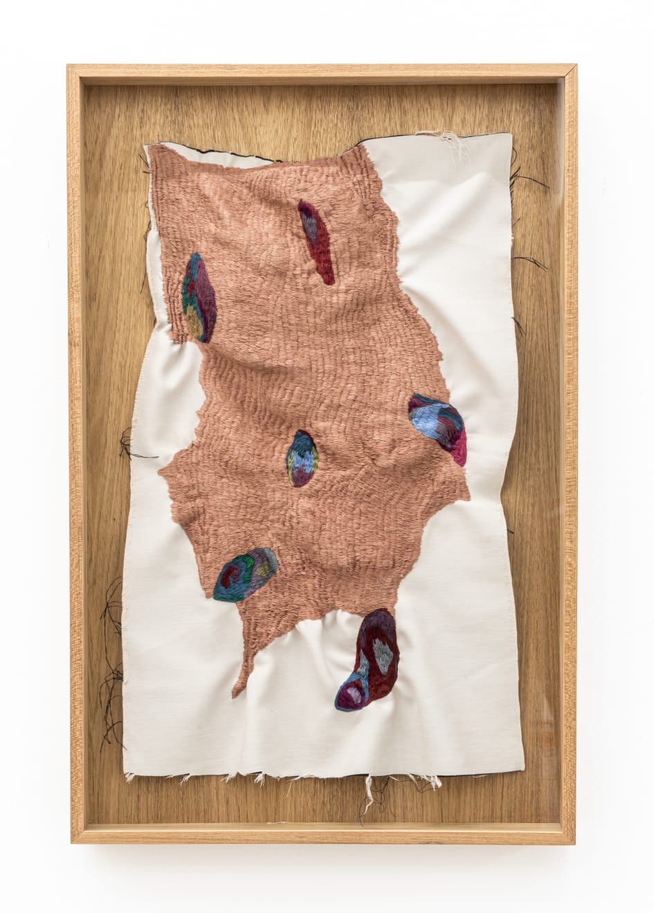 Brígida Baltar, Os hematomas, 2016