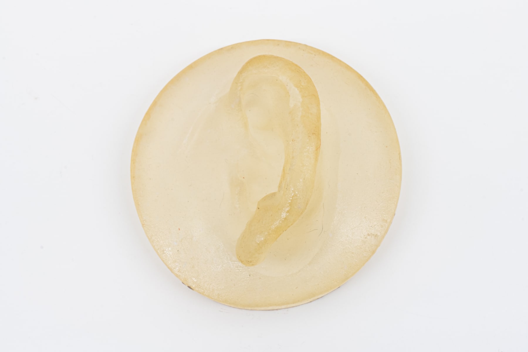 Amelia Toledo, The Walls Have Ears, 1973