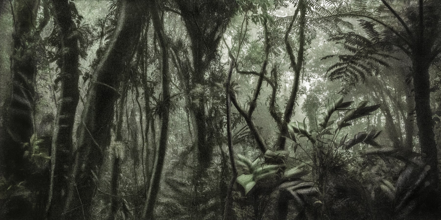 Cássio Vasconcellos, A picturesque voyage through Brazil # 80, 2016