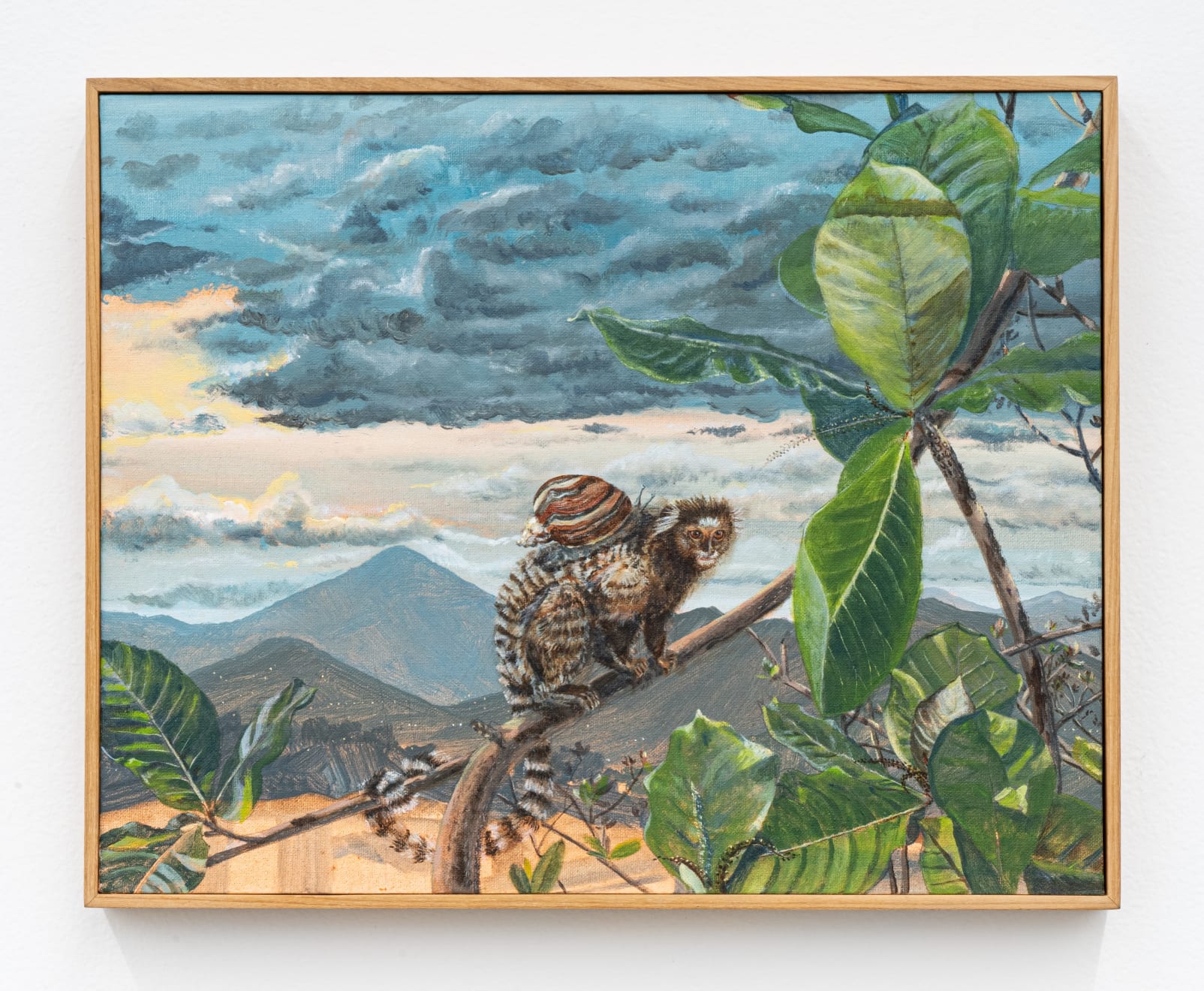 Alberto Baraya, Macaco con Caracol gigante africano (Callithrix jacchus con Achatina fulica) , 2018