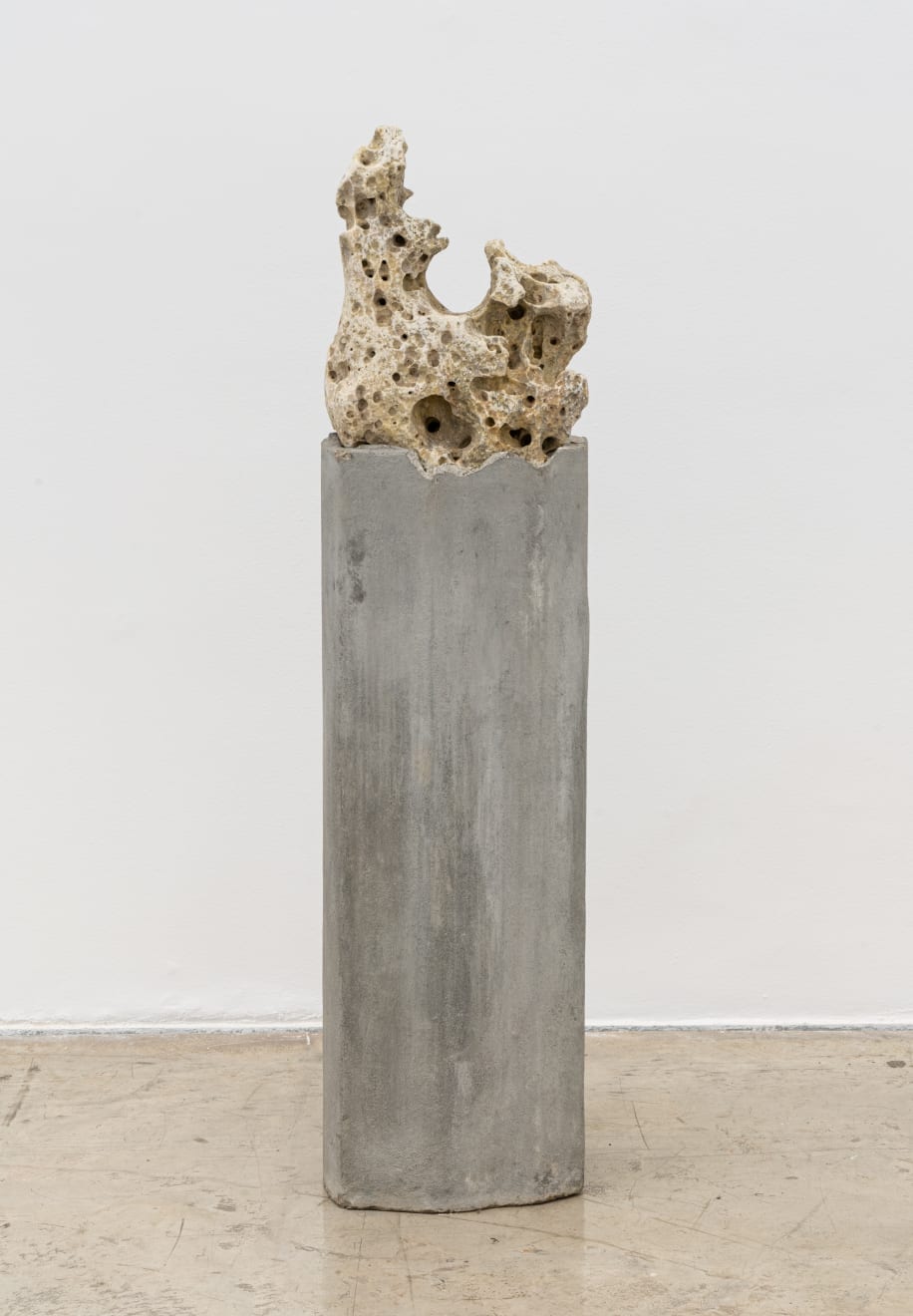 Amelia Toledo, Singing Dragon, 2007