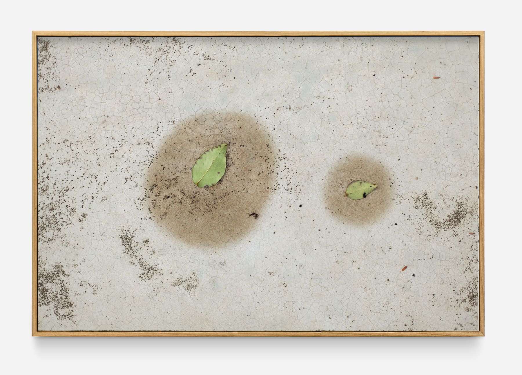Cao Guimarães, Untitled from the series Moist, 2015