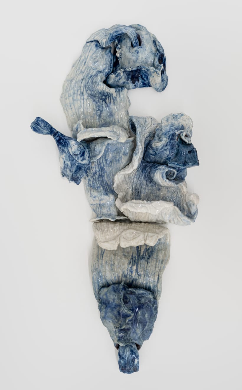 Brígida Baltar, Licks of the sea, 2017