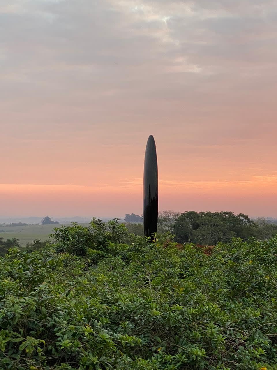Artur Lescher, Elipse # 09, 2008