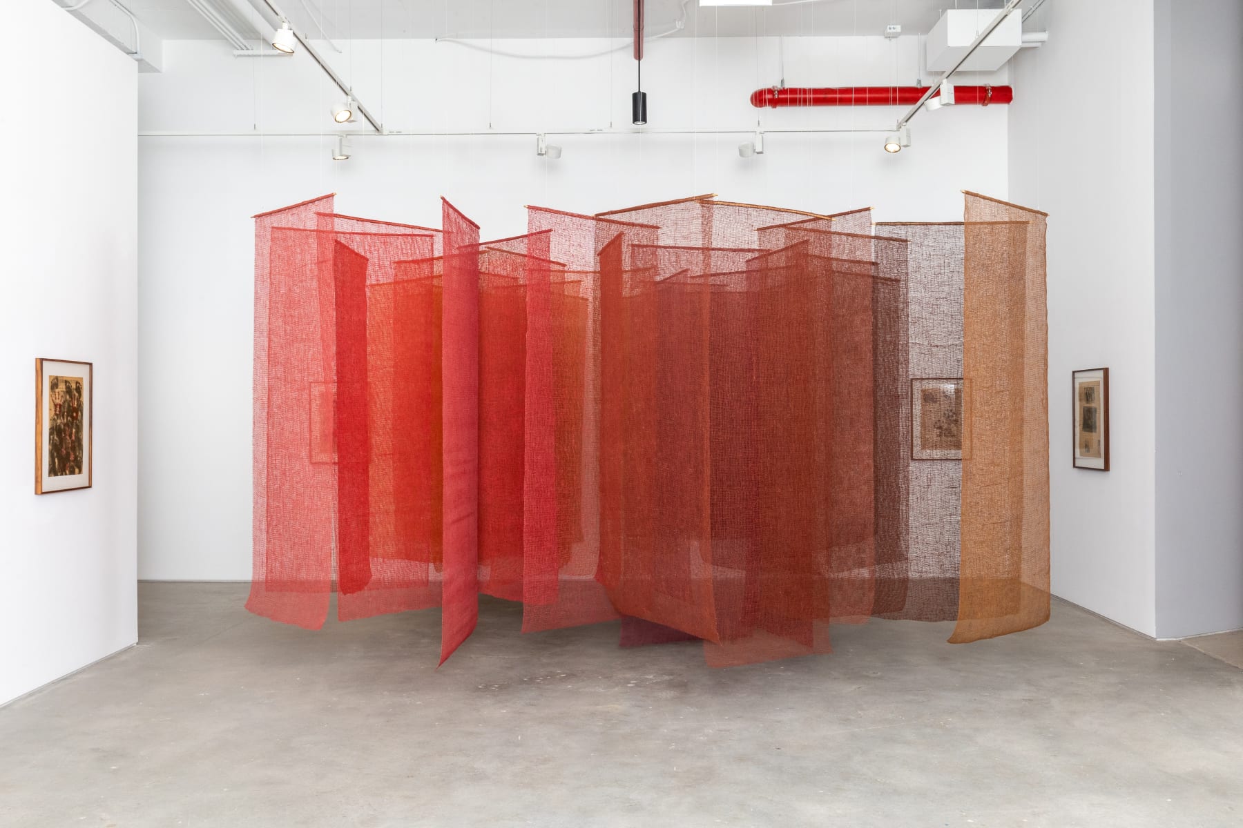 Amelia Toledo, Paths of color, Paths of color