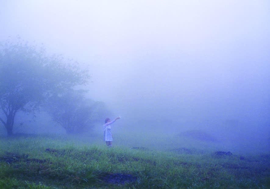 Brígida Baltar, Mist collectiing , 1999