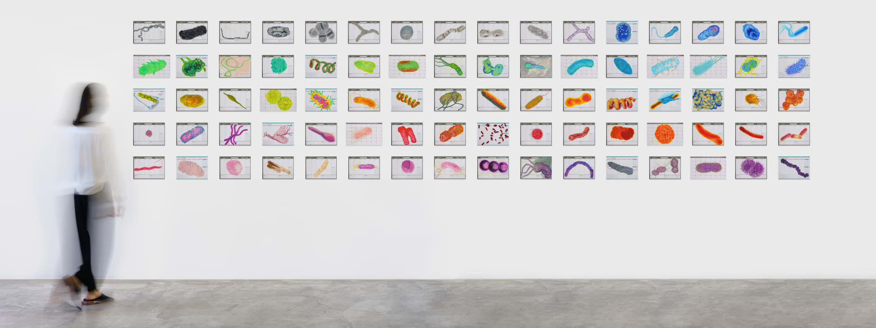 Renato Pera, 80 desenhos (bactérias), 2019