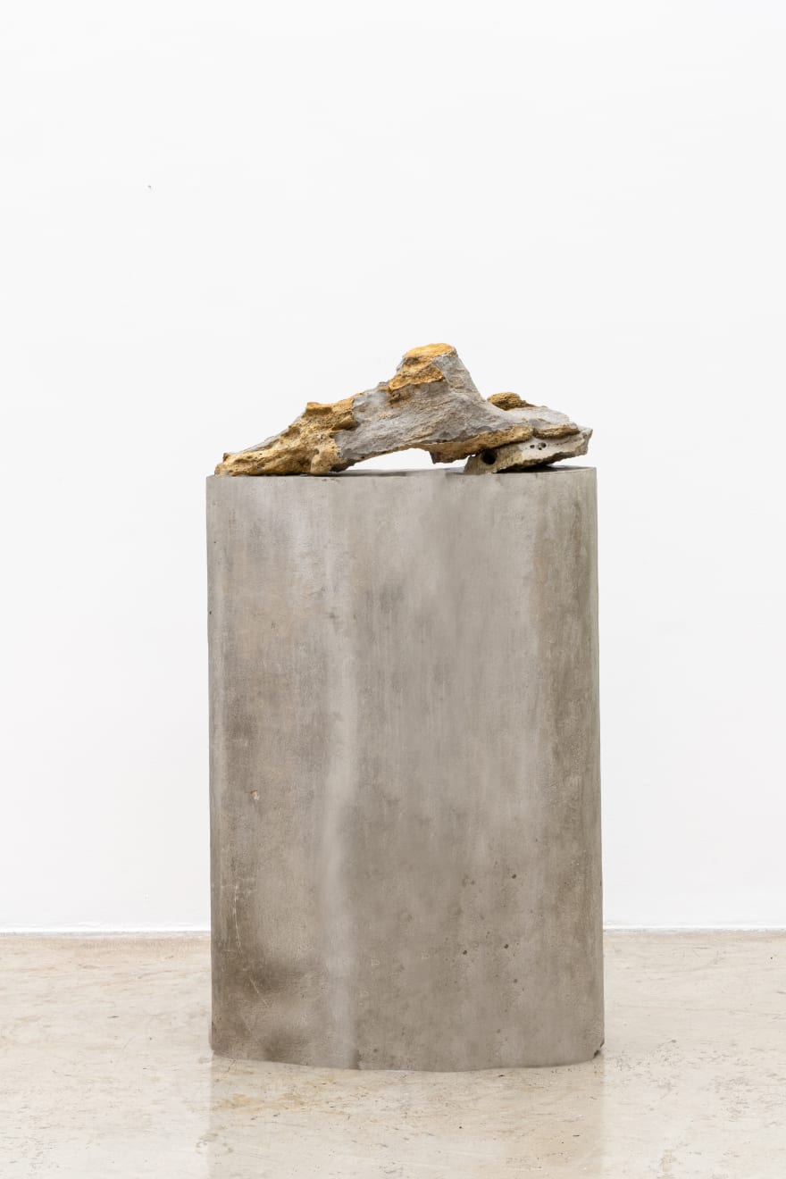 Amelia Toledo, Singing Dragon, 2007