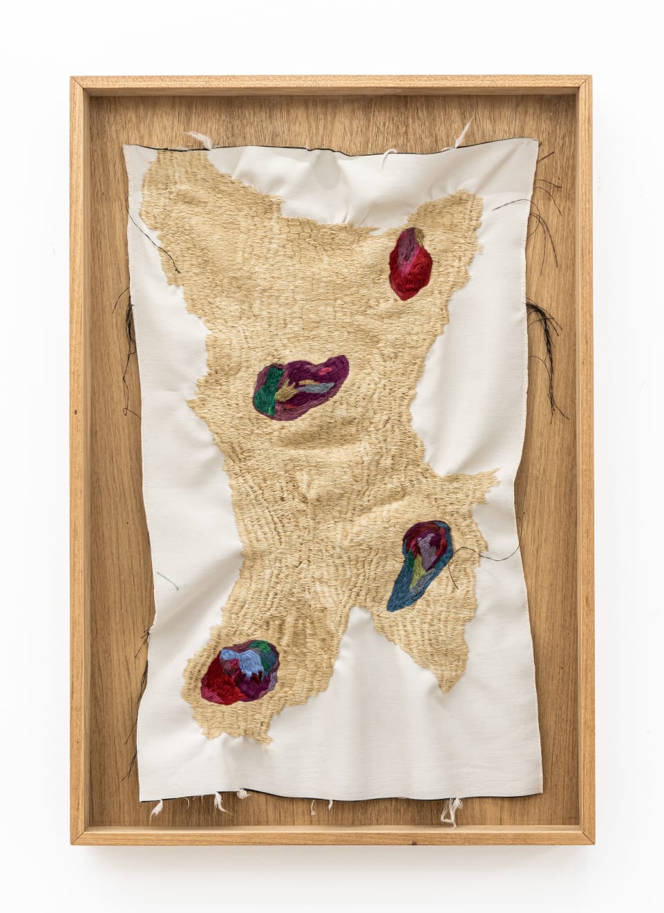 Brígida Baltar, Os hematomas, 2016