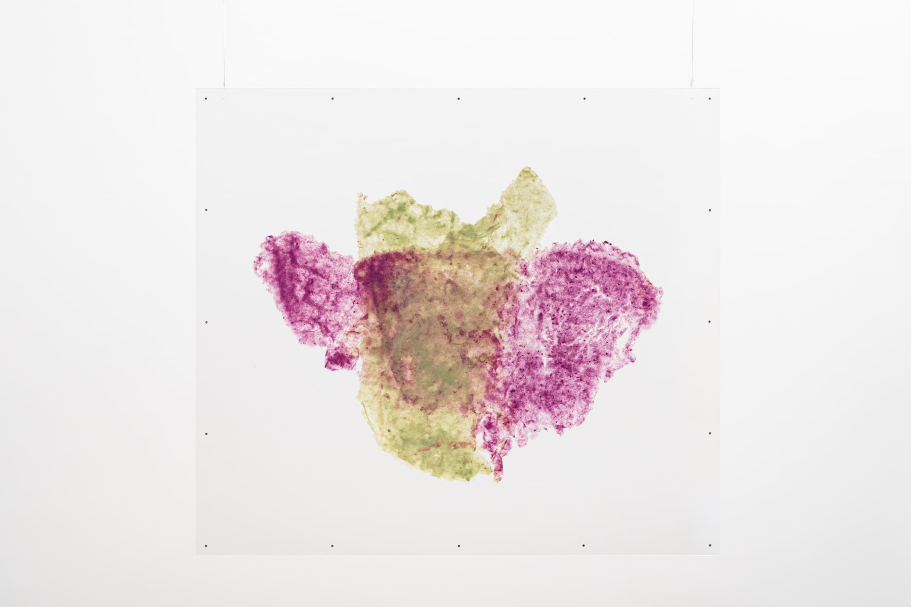 Amelia Toledo, Wisp, undated