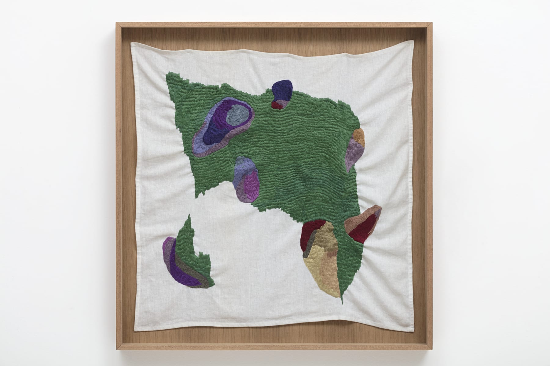 Brígida Baltar, The plant bruises, 2016