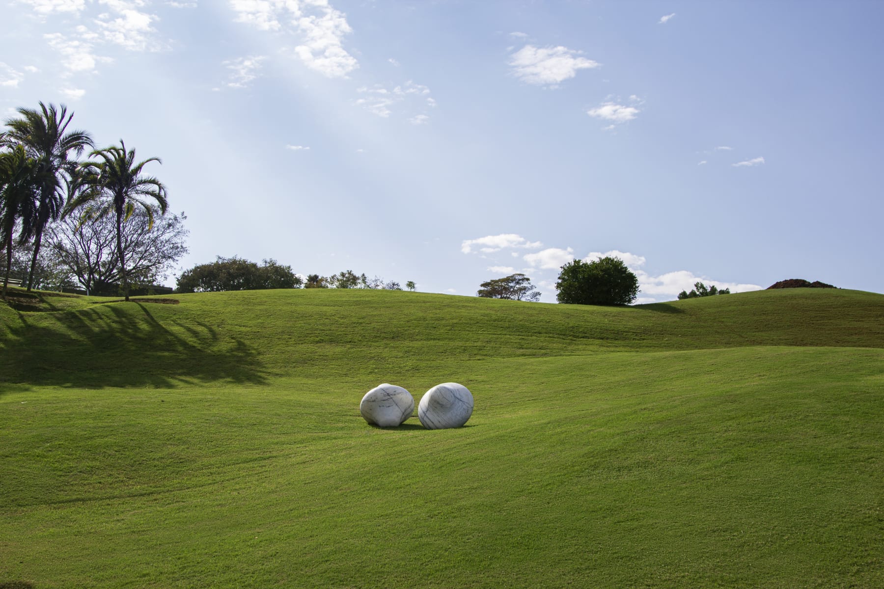 Laura Vinci, Duas graças, 2016
