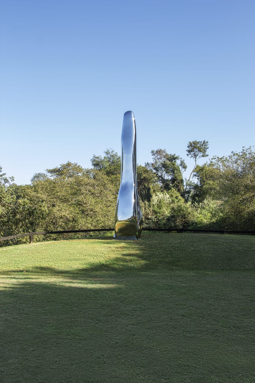 Not Vital, Tongue, 2018
