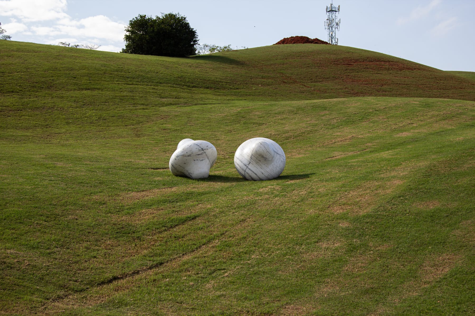 Laura Vinci, Duas graças, 2016