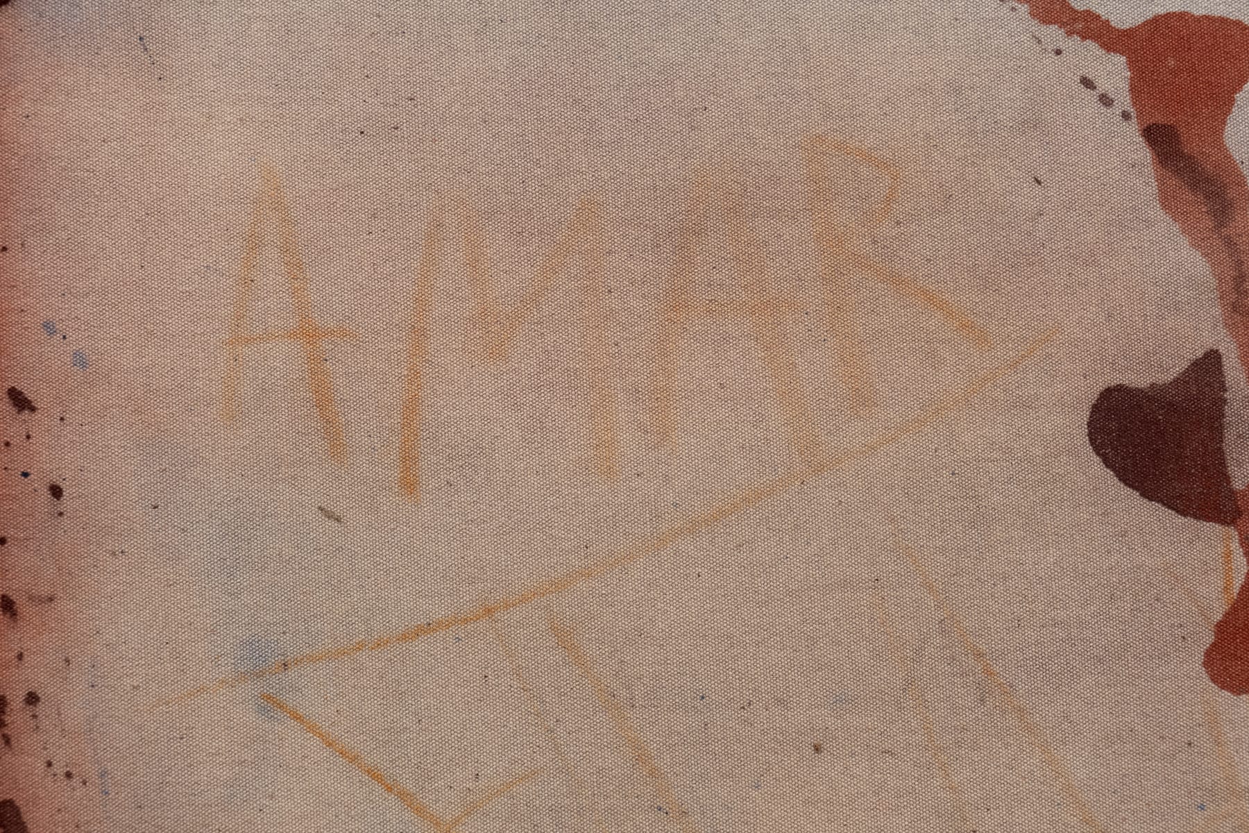 Karin Lambrecht, Amar, 2017