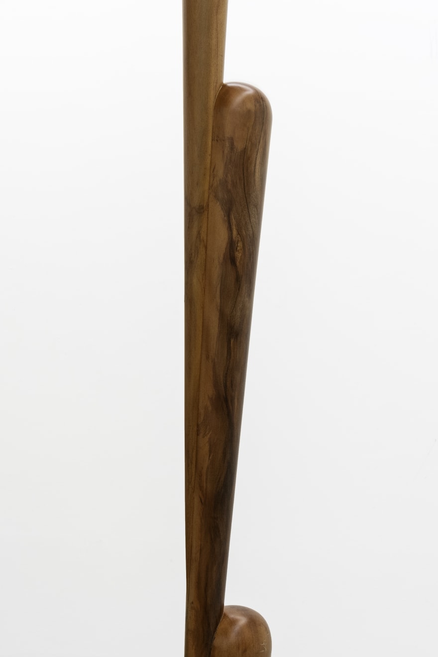 Artur Lescher, Leo # 2 , 2018