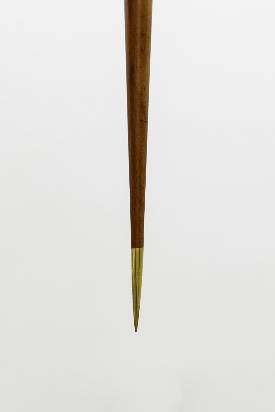 Artur Lescher, Leo # 2 , 2018