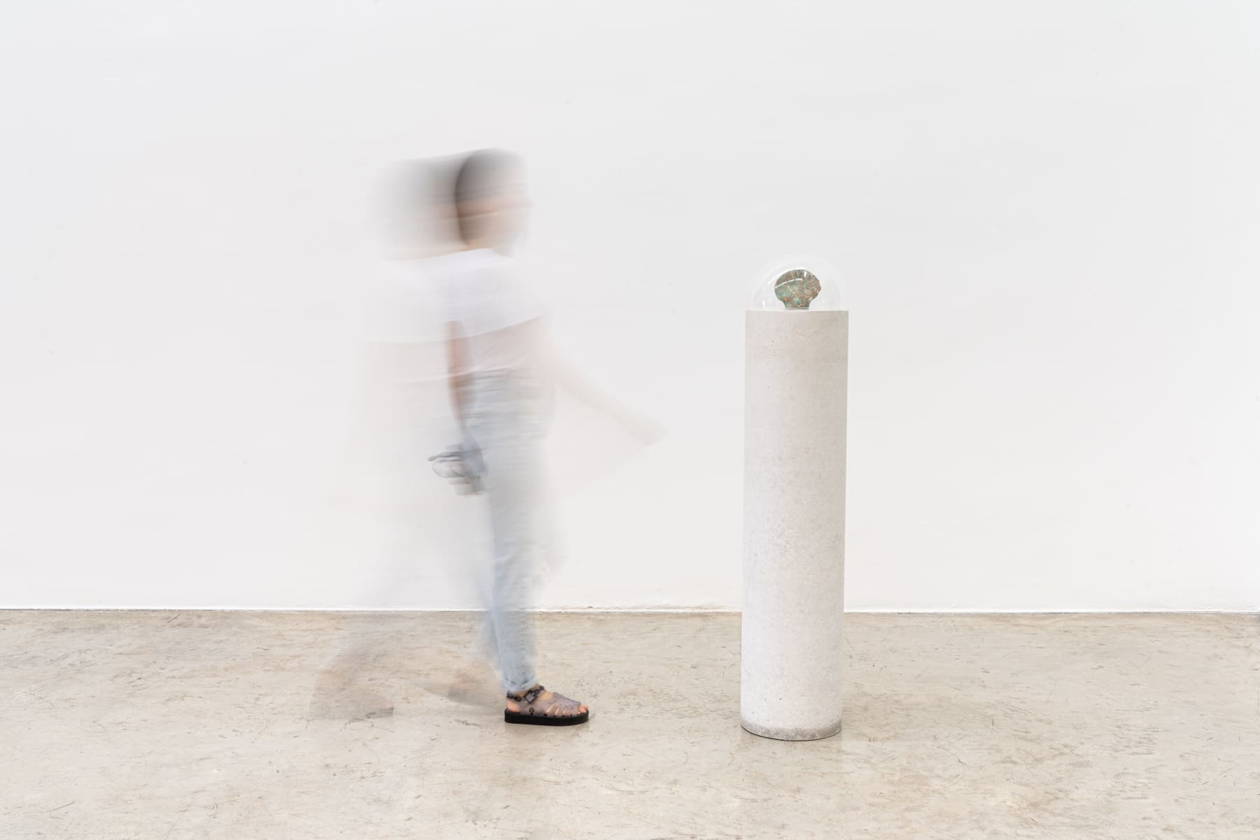 Amelia Toledo, Periscópio, Periscópio
