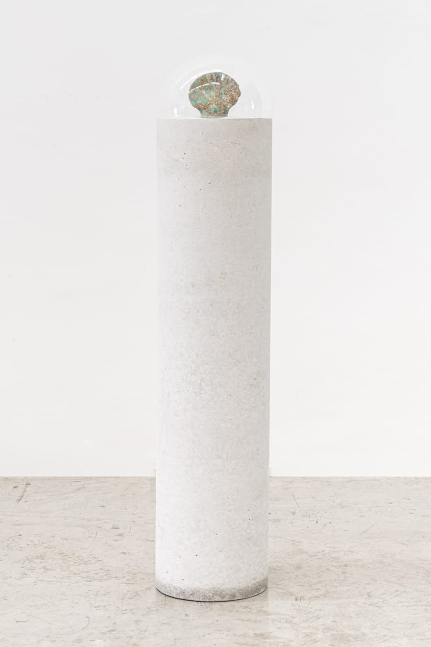Amelia Toledo, Periscópio, Periscópio