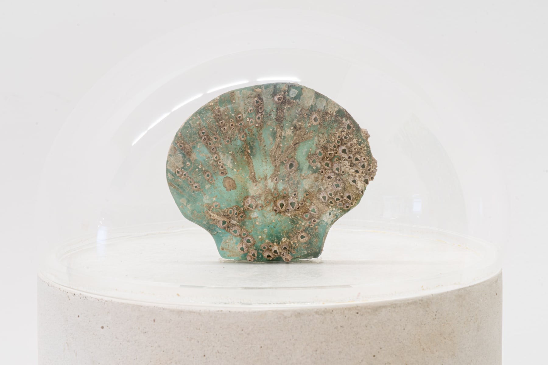 Amelia Toledo, Periscópio, Periscópio