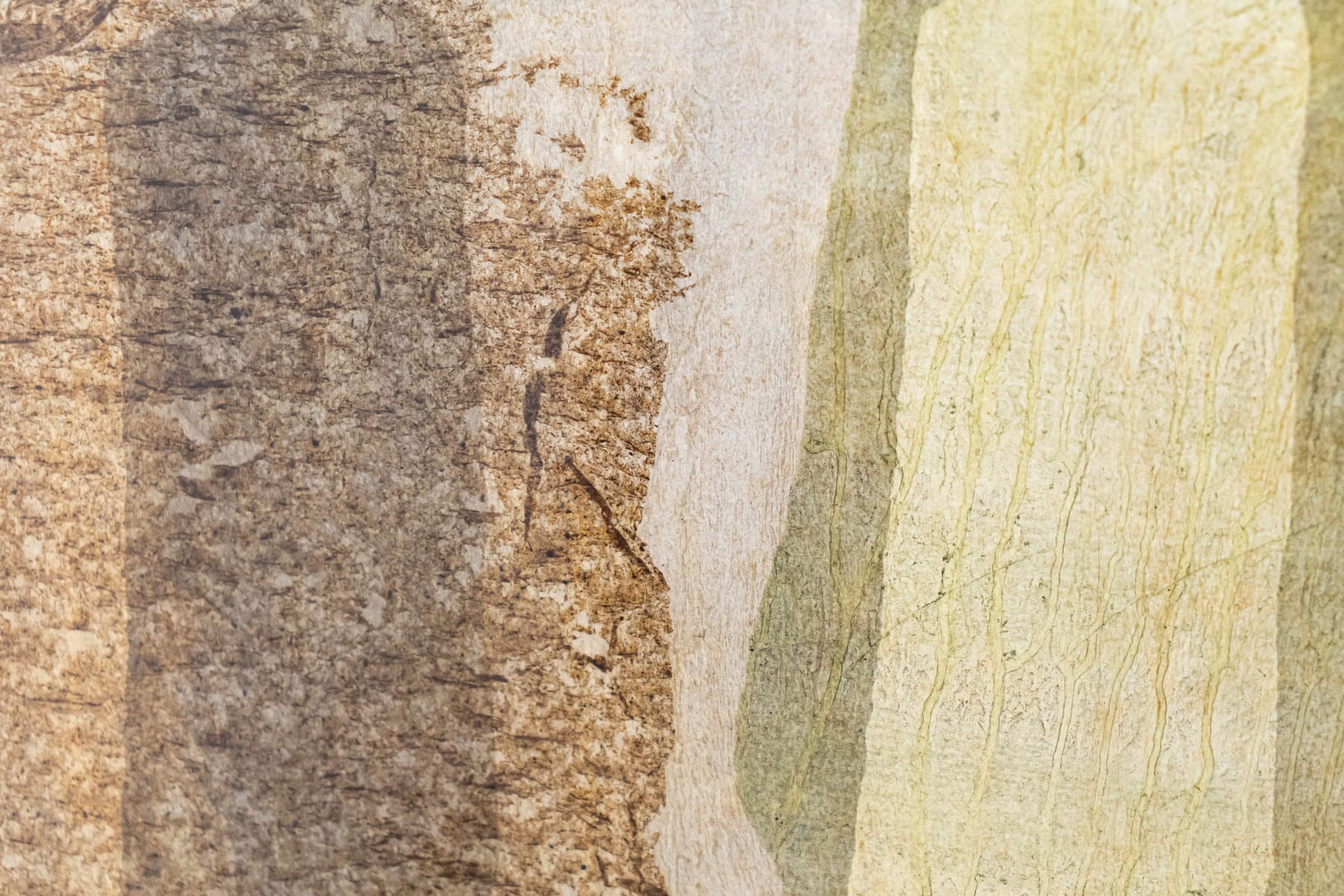 Amelia Toledo, Collage, 1959