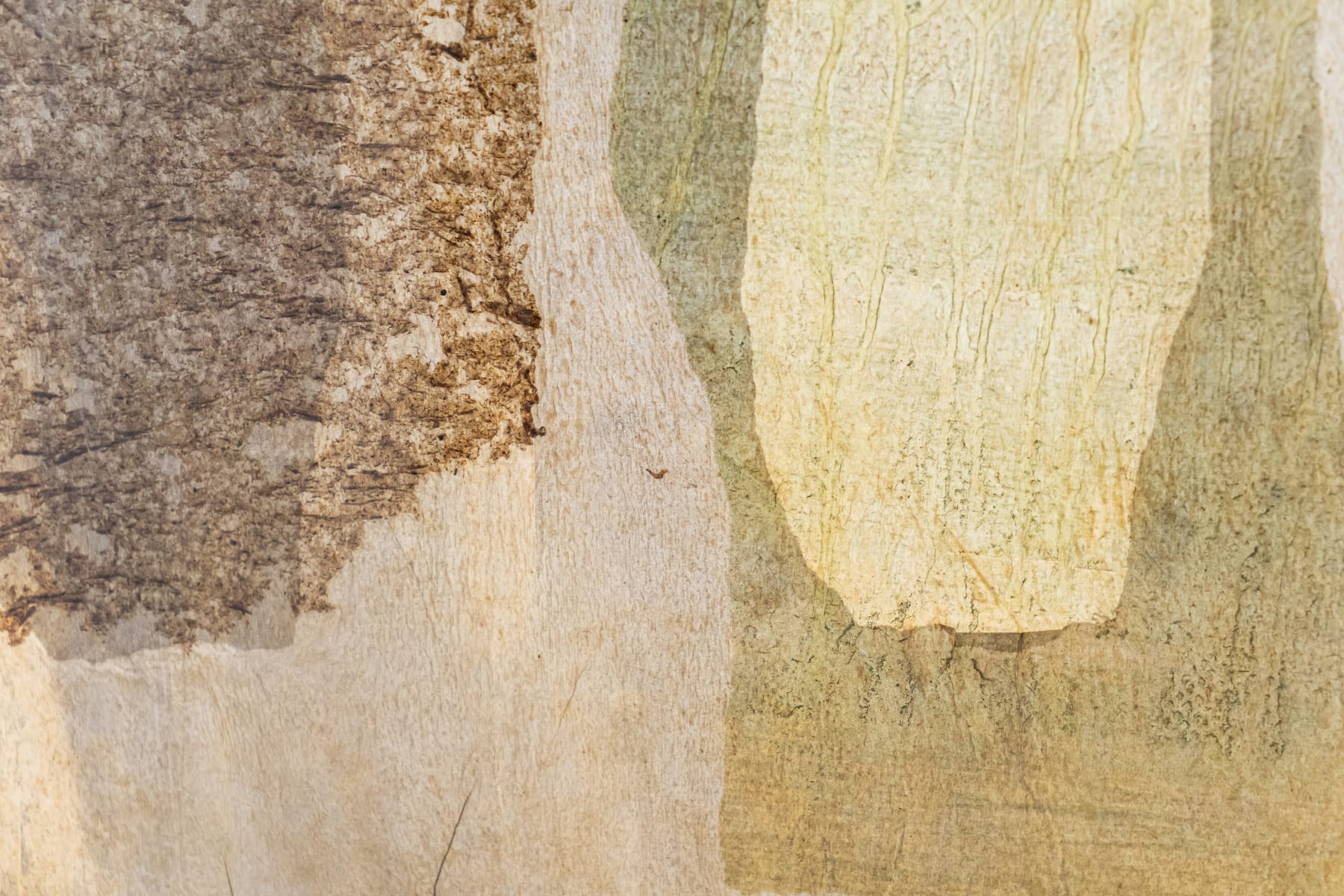 Amelia Toledo, Collage, 1959