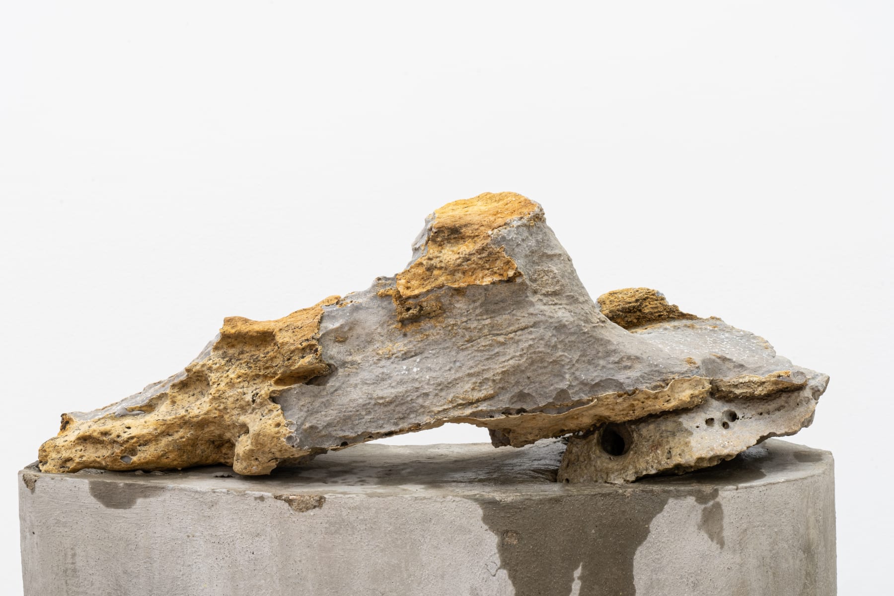 Amelia Toledo, Singing Dragon, 2007
