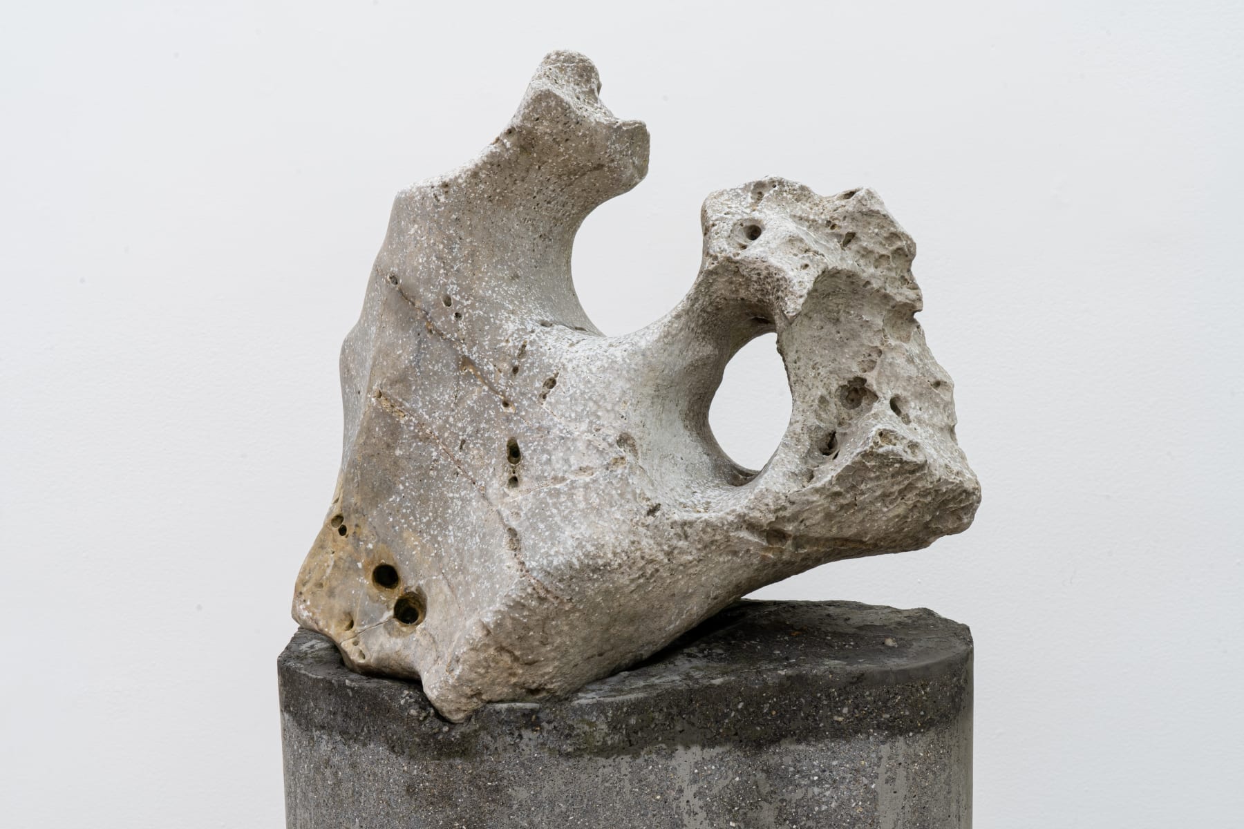 Amelia Toledo, Singing Dragon, 2007