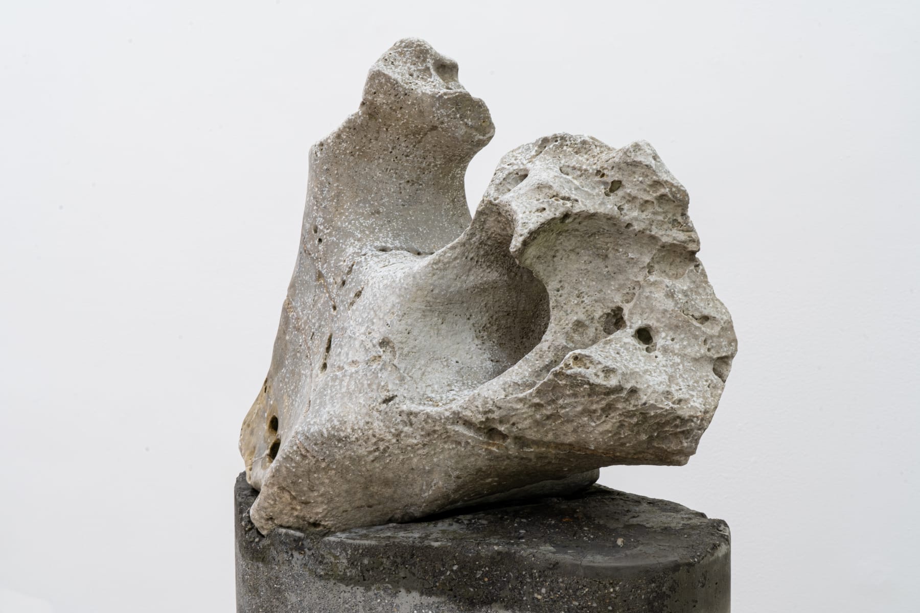 Amelia Toledo, Singing Dragon, 2007