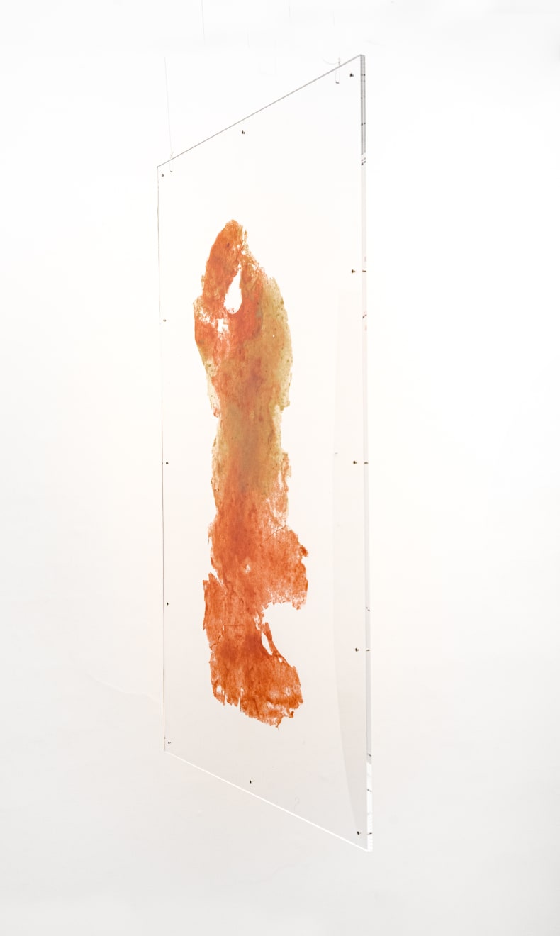 Amelia Toledo, Wisp, undated