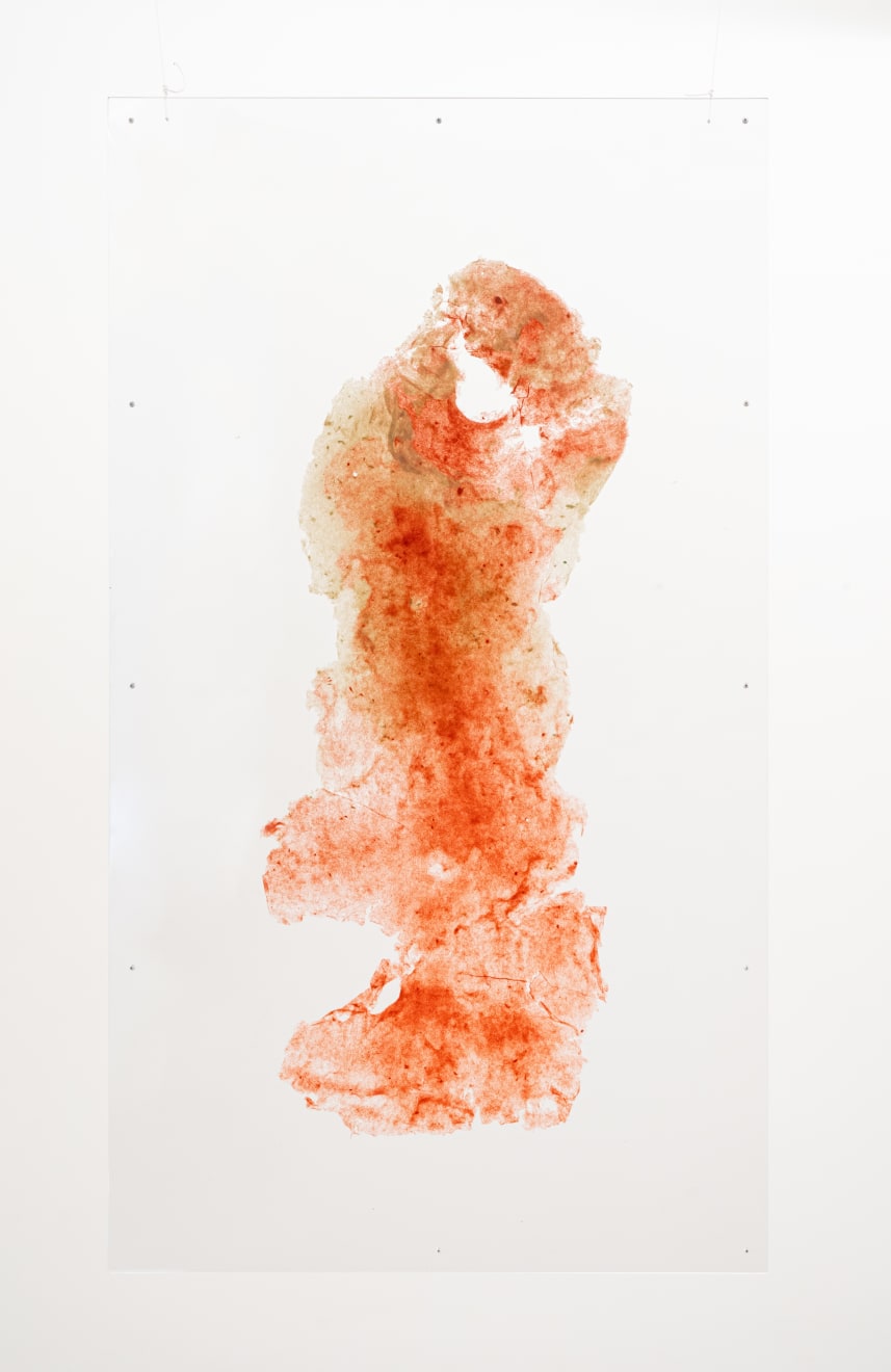 Amelia Toledo, Wisp, undated