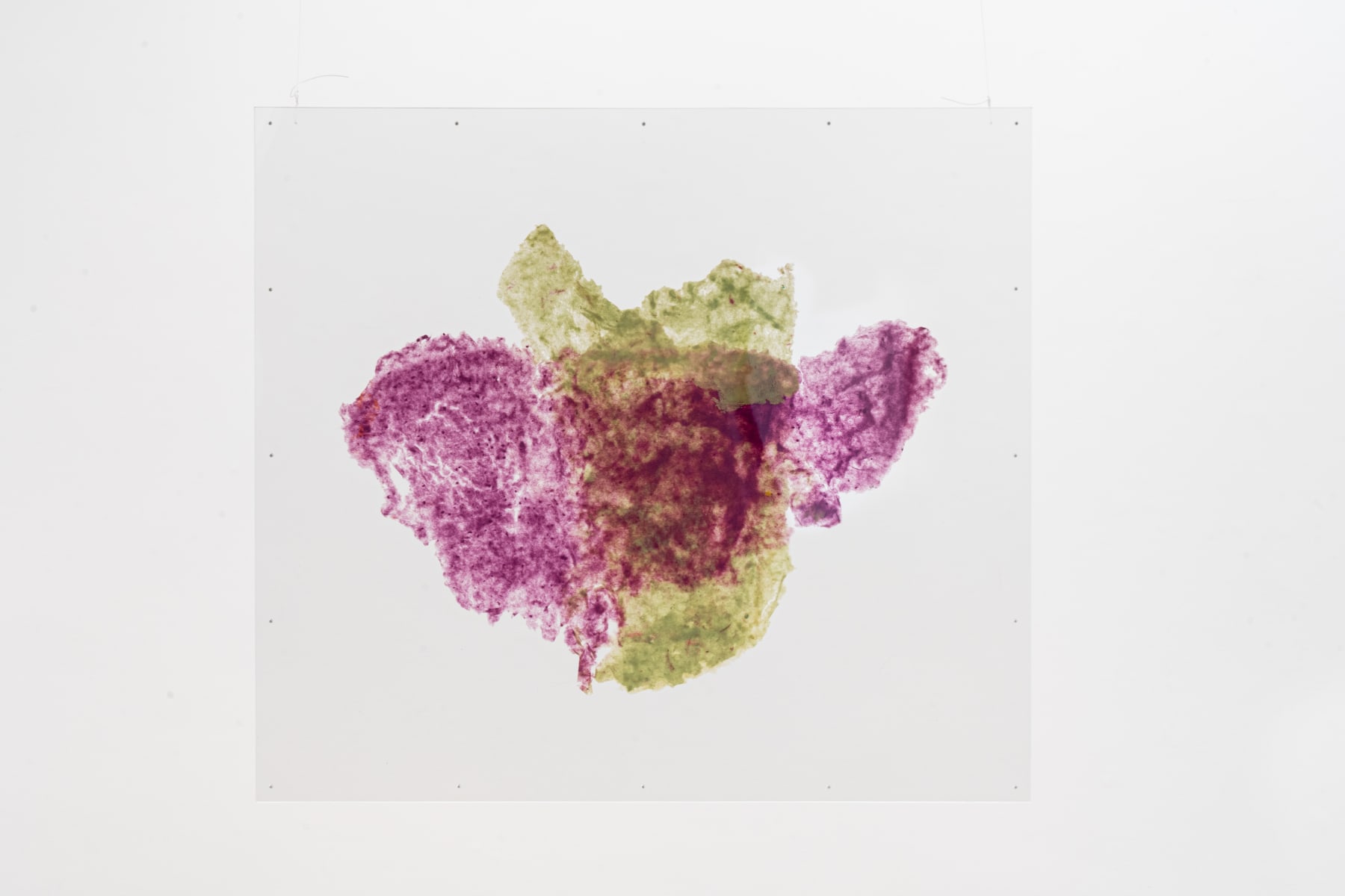 Amelia Toledo, Wisp, undated