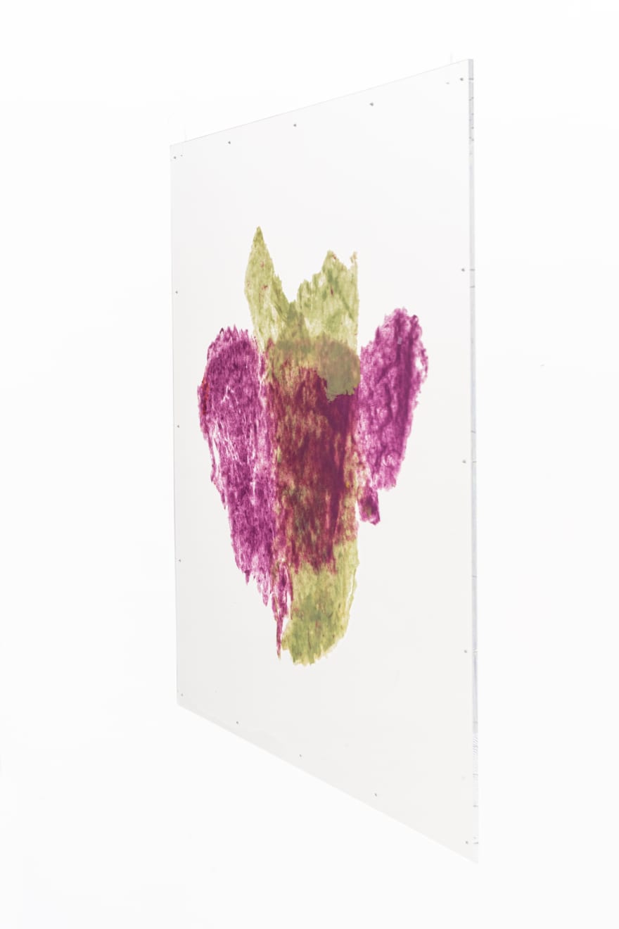 Amelia Toledo, Wisp, undated