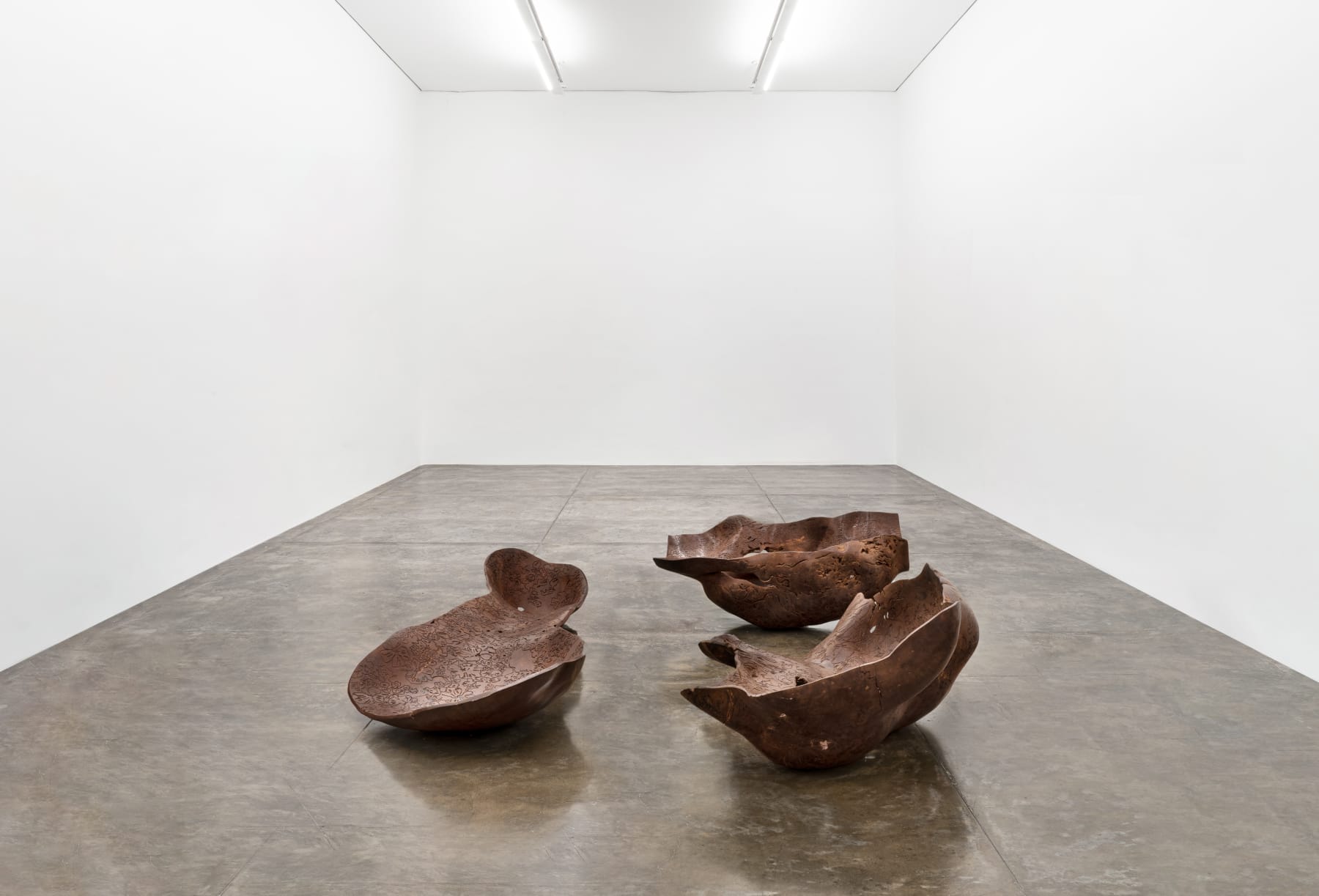 Marcelo Silveira, De natureza viva, 2005 / 2006
