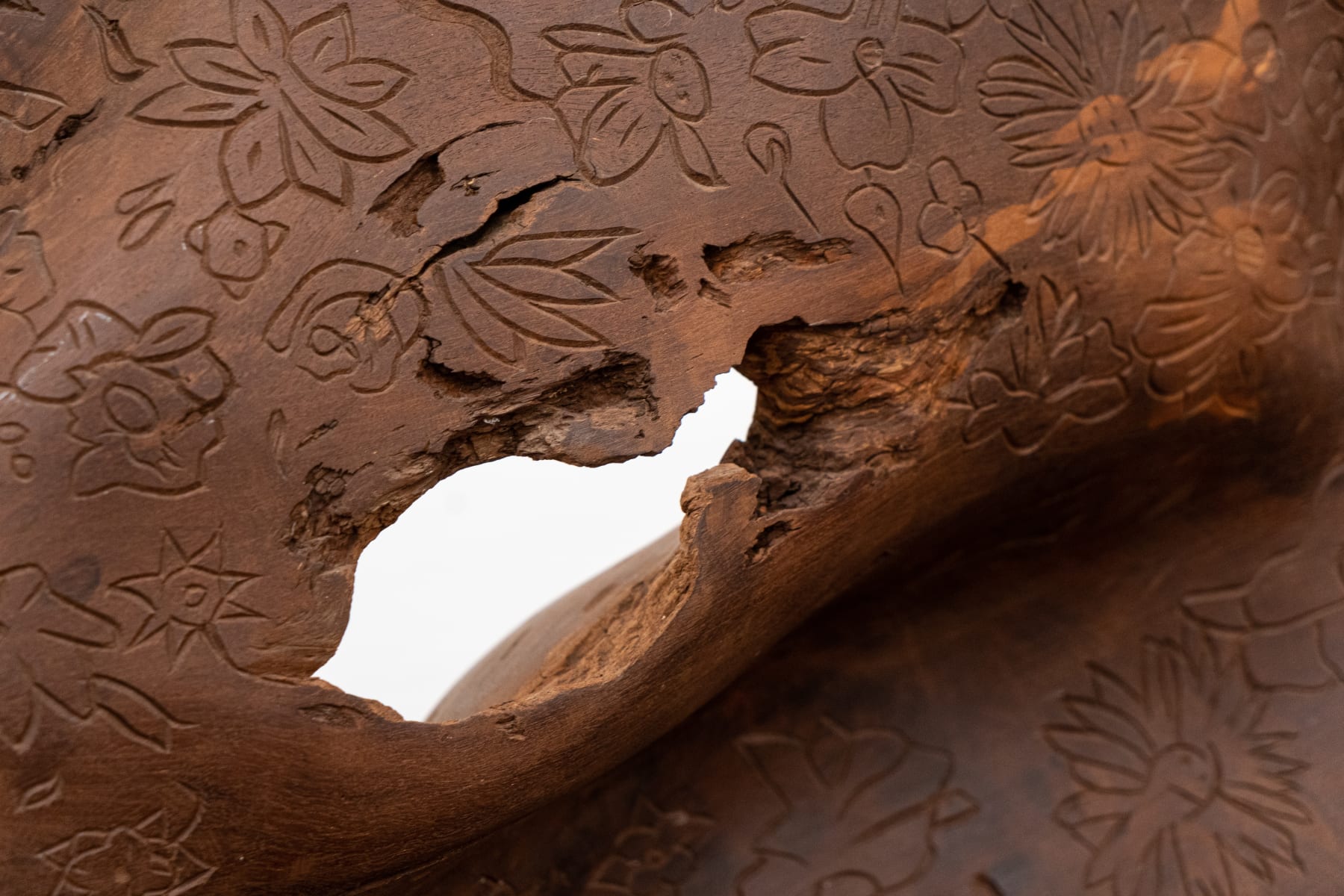 Marcelo Silveira, De natureza viva, 2005 / 2006