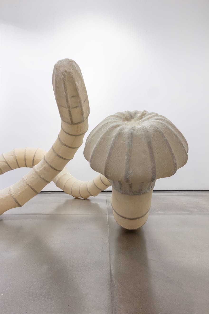 Angelo Venosa, Untitled, 2021