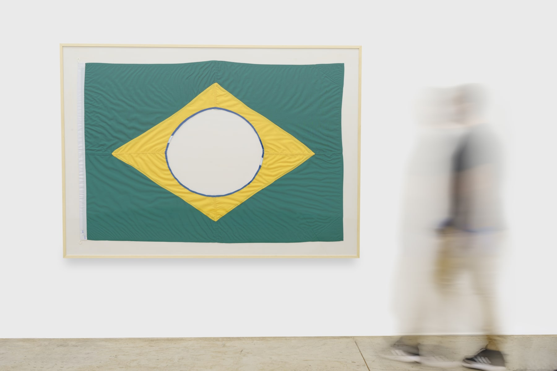 Raul Mourão, The New Brazilian Flag # 3, 2019