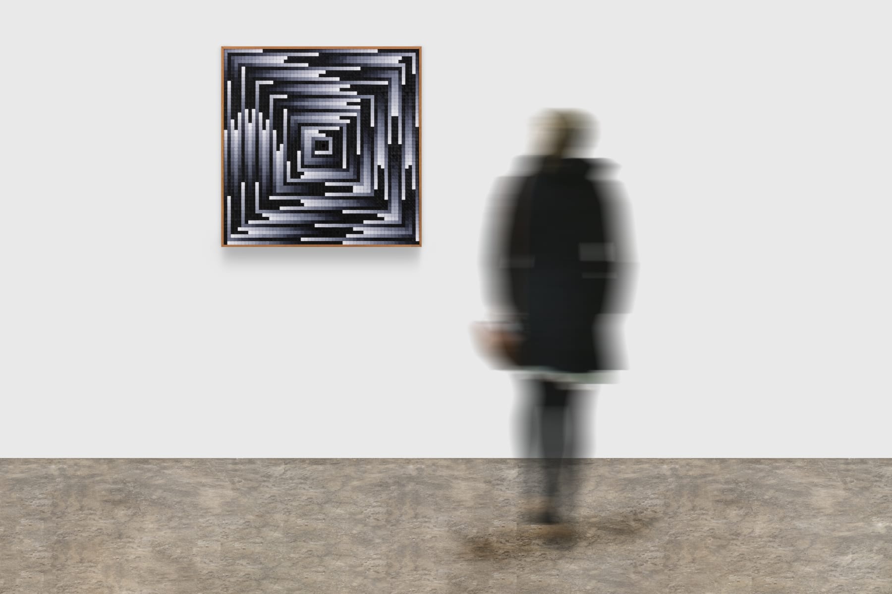 José Patrício, Circuito tonal V, 2019