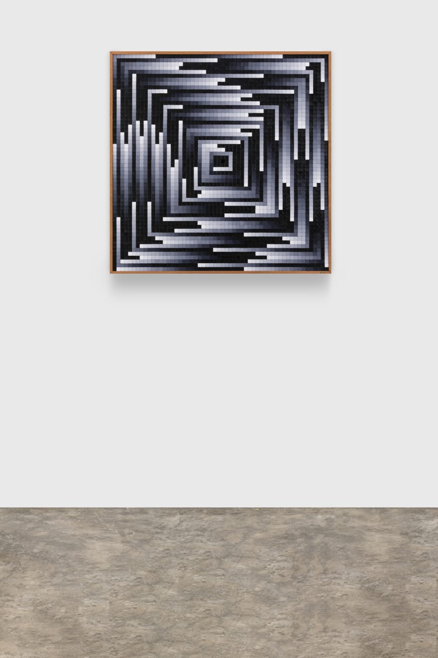 José Patrício, Circuito tonal V, 2019