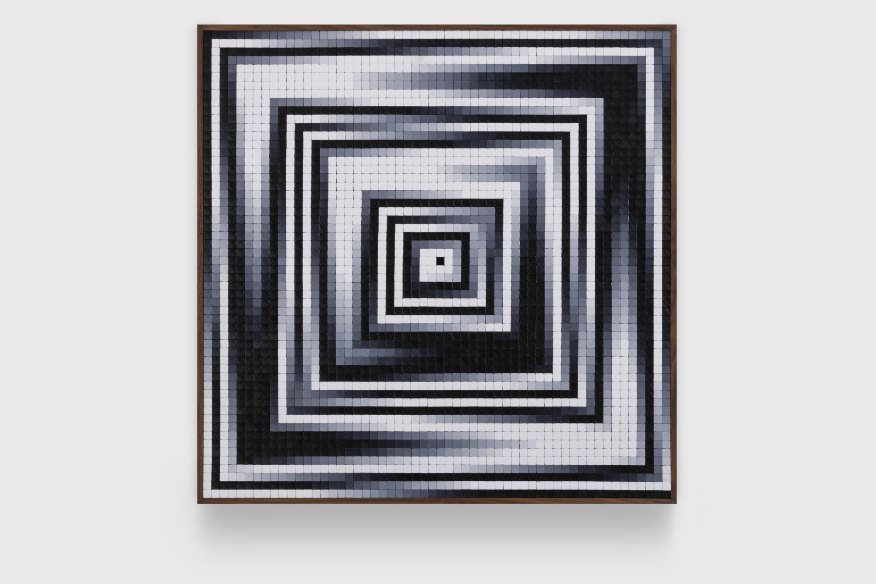 José Patrício, Circuito tonal VIII, 2019
