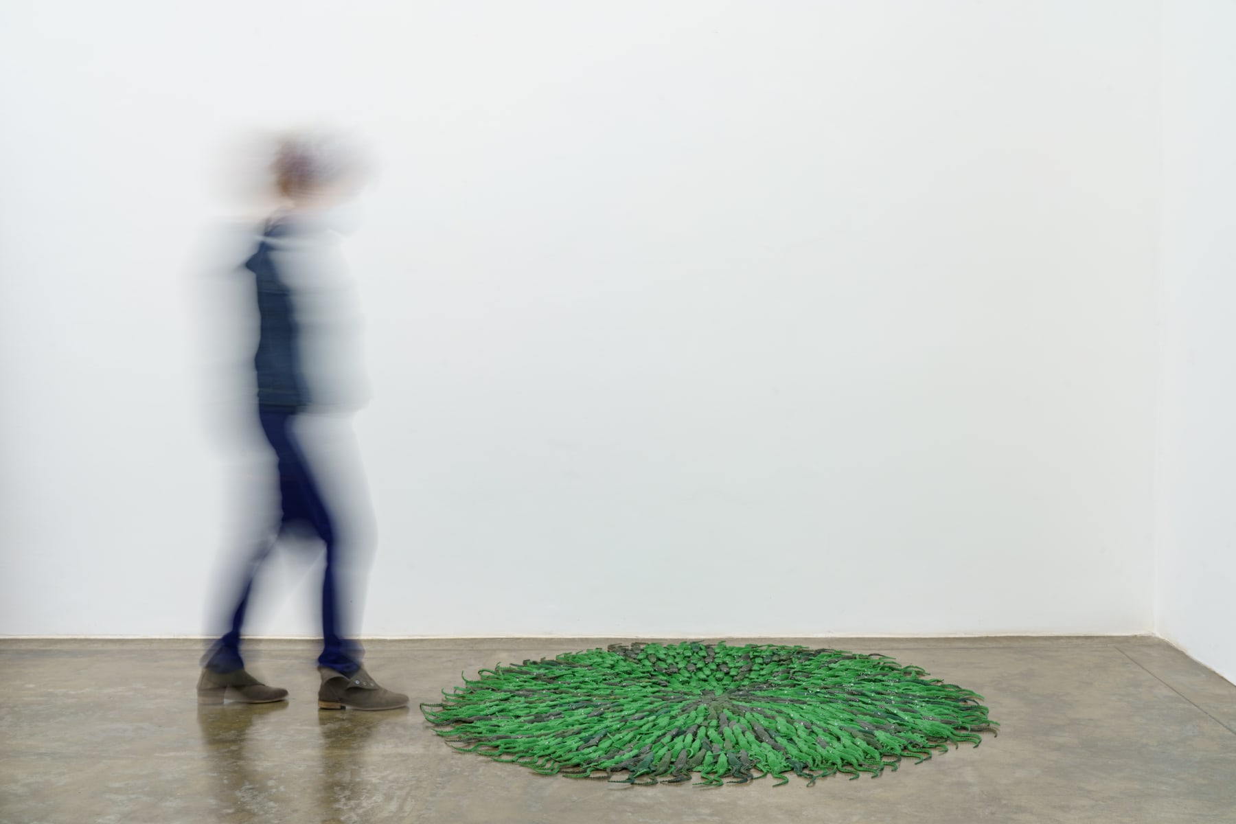 Lia Menna Barreto, Tapete de jacaré, 2003