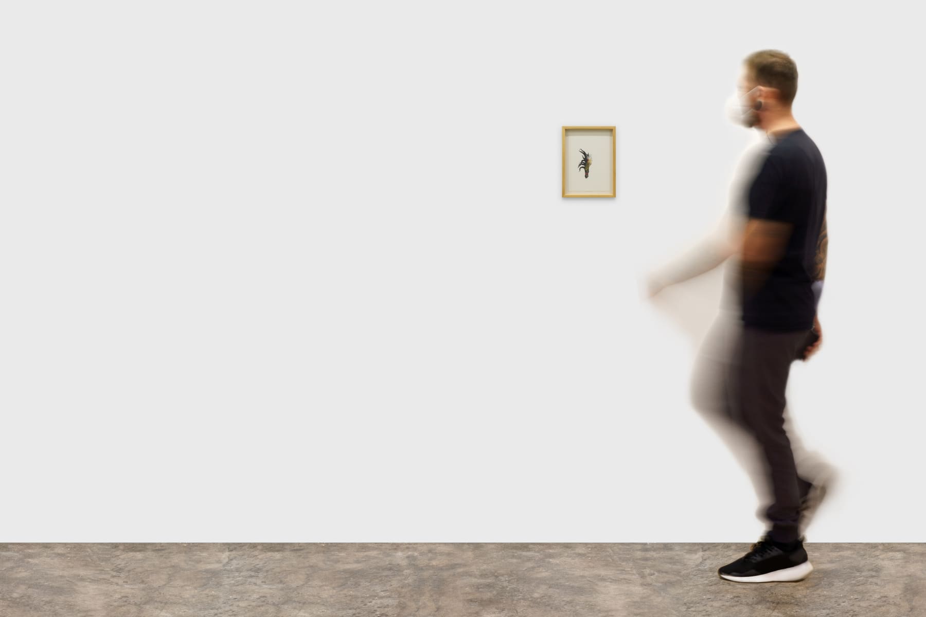 Virgílio Neto, Miúdos # 05, 2018/2020