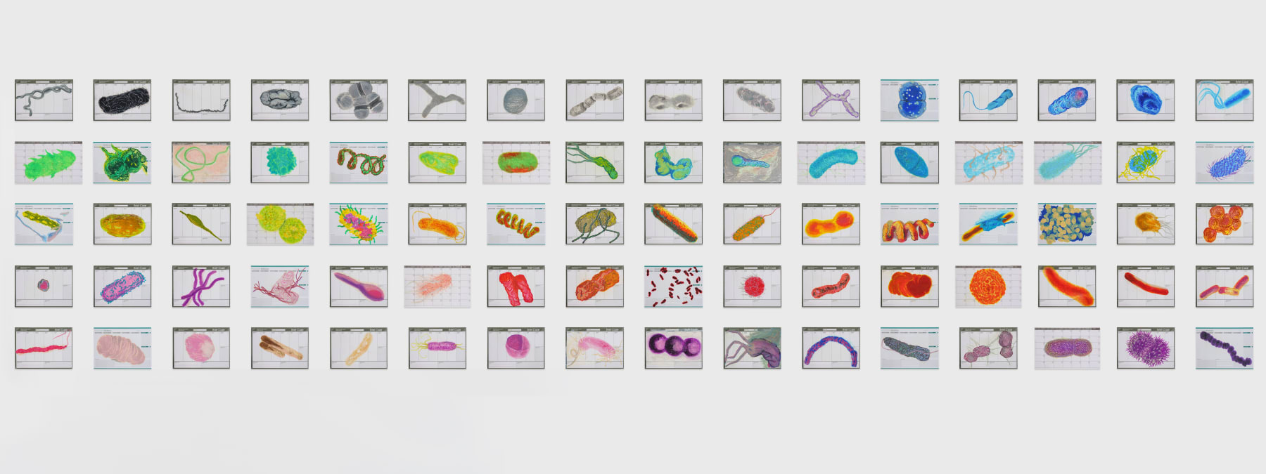 Renato Pera, 80 desenhos (bactérias), 2019