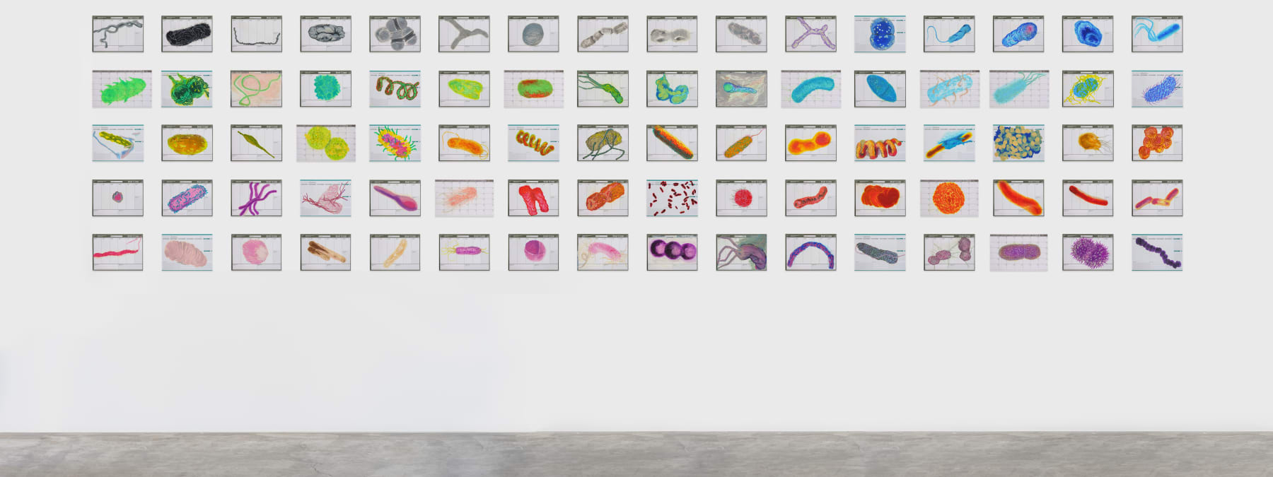 Renato Pera, 80 desenhos (bactérias), 2019