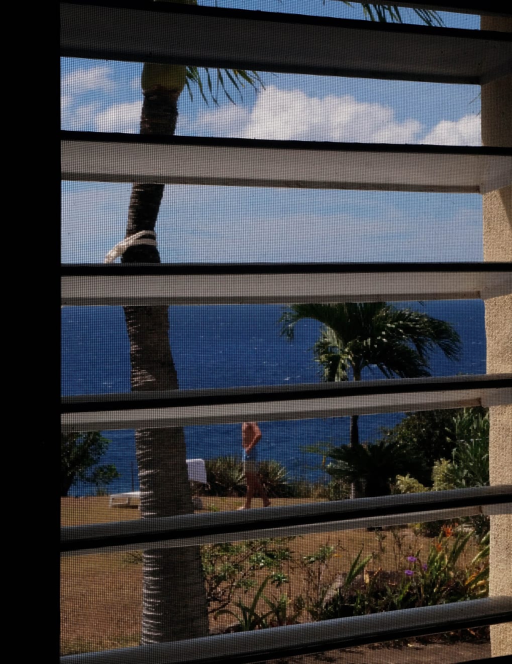 SARAH VAN RIJ, STATIA, 2020