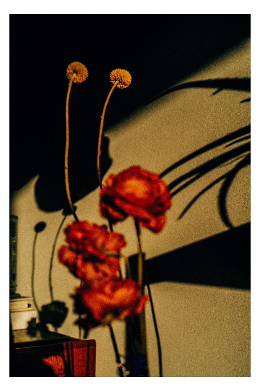 MUSTAFAH ABDULAZIZ, UNTITLED, Berlin, 2019