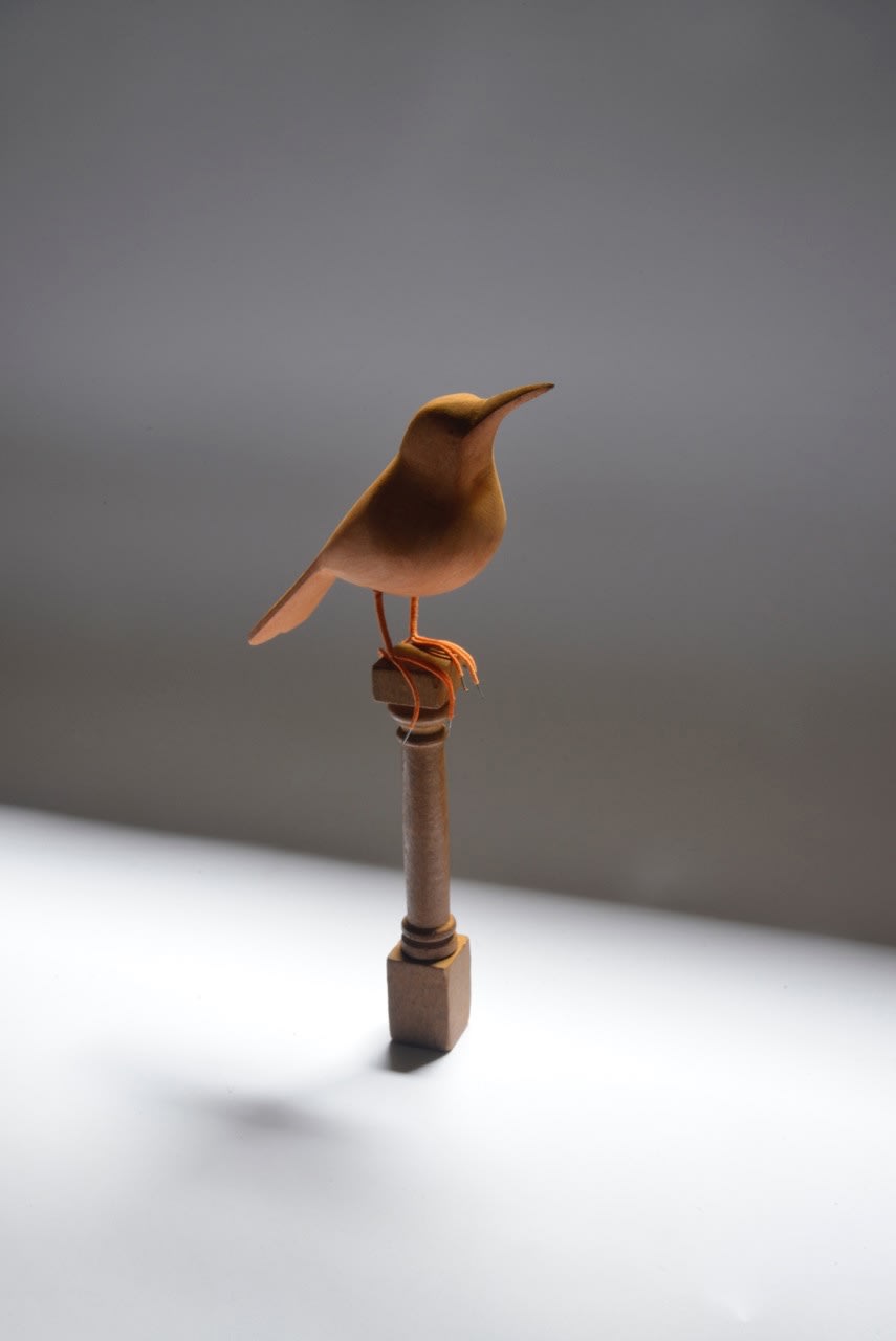 Rochelle Costi, Equilíbrio_pássaro, 2021