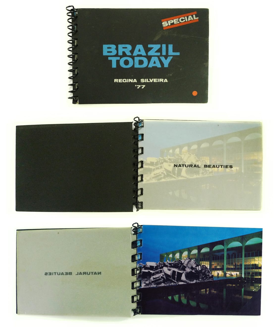 Regina Silveira, Brazil Today: Natural Beauties, 1977