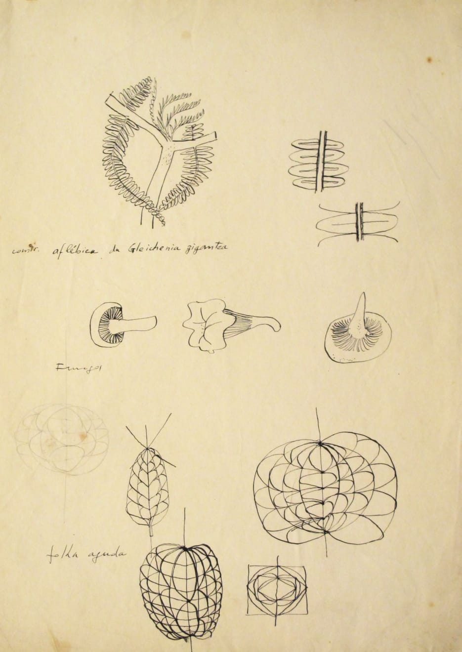 Waldemar Cordeiro, Sem título | Untitled, s.d.